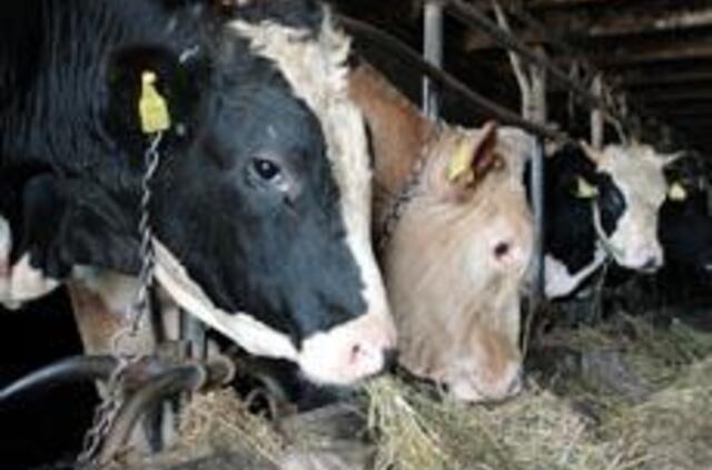 Europos valstybėse užregistruoti nauji gyvūnų užkrečiamųjų ligų židiniai