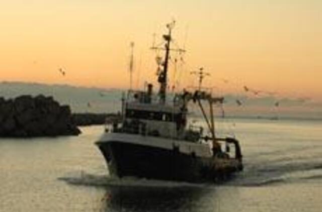 Menkės gimdo godumą