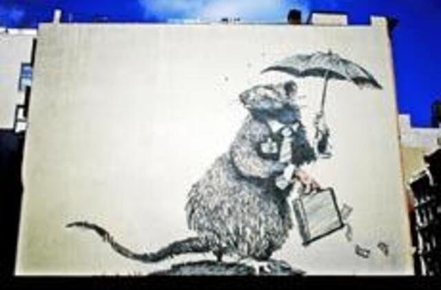 2009: sunkesnis darbas ir labiau apgalvoti sprendimai