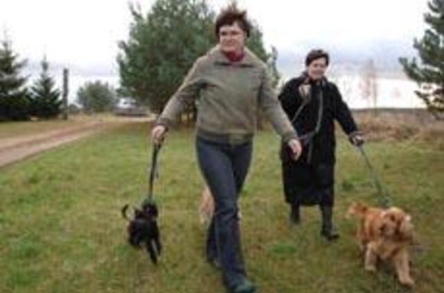 Nėra galimybių laikyti šunį? Pasiimk savaitgaliui