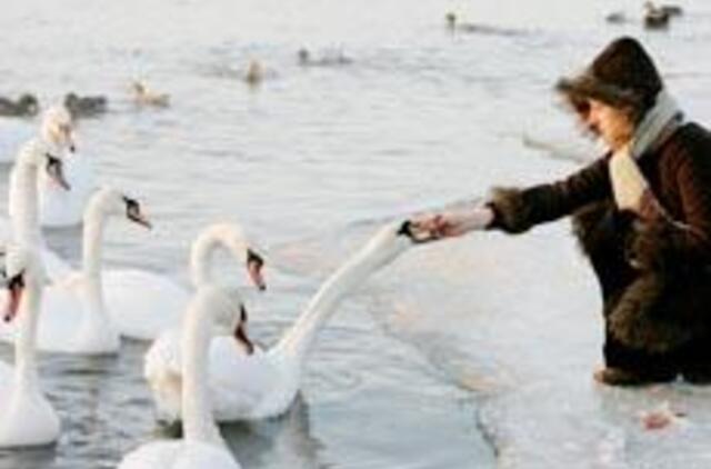 Sveikatos specialistai šaltu oru ragina saugotis nušalimų