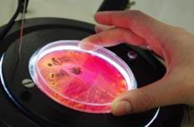 Neleista tiekti rinkai lenkiškos paukštienos ir kinietiškų jūros lydekų filė