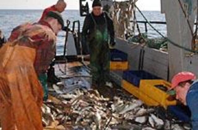 Vertingiausias Lietuvos žvejų laimikis tapo nevertingas