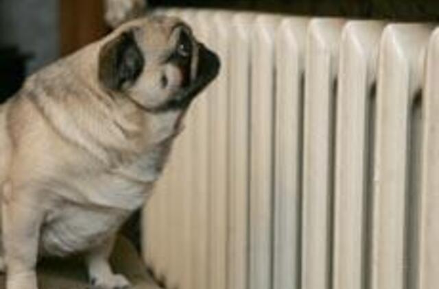 Estijoje pinga šildymas 