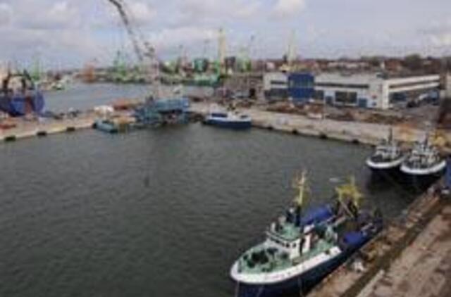 Mažieji laiveliai - lyg rakštis uoste