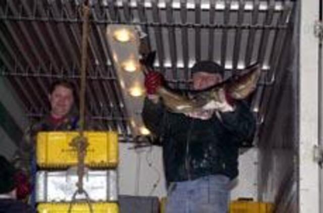 Pigios žuvies teks palaukti