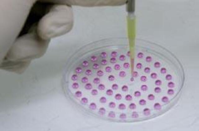 Atvertas kelias atsarginėms kūno dalims kurti