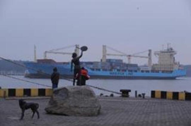 Tokio konteinerių mažėjimo neprognozuota