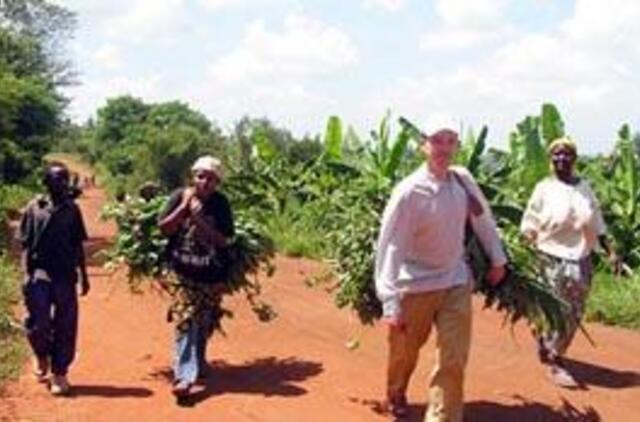 Afrikoje mažėja Afrikos