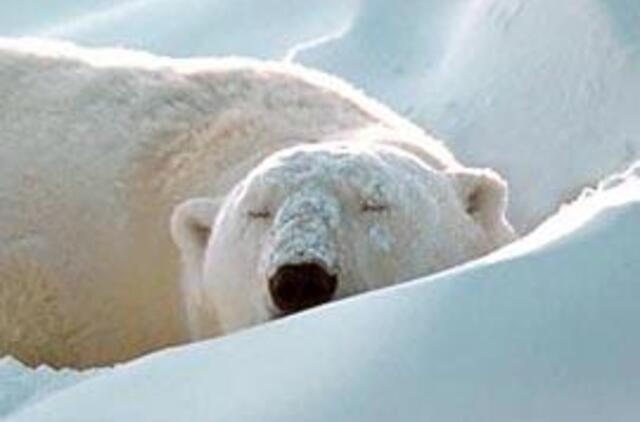 Nuo nemigos - šaldomoji kepuraitė