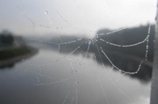 Po liūčių tuoj pat maudytis nepatartina, teigia medikai