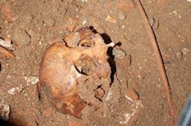 Gargžduose - unikalus radinys