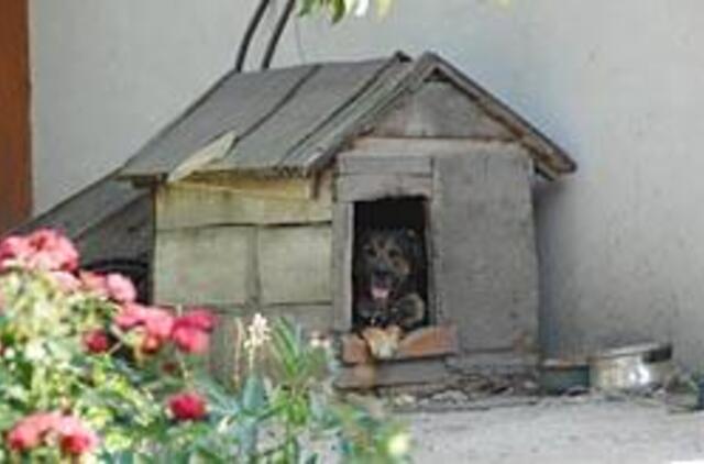 Gyventojai kyla prieš šunis