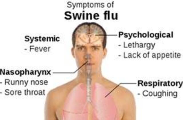 Britai patys sau diagnozuoja kiaulių gripą ir nesirodo darbe