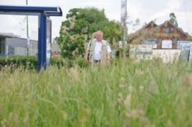 Džiunglių gyventojai klerkams neįdomūs