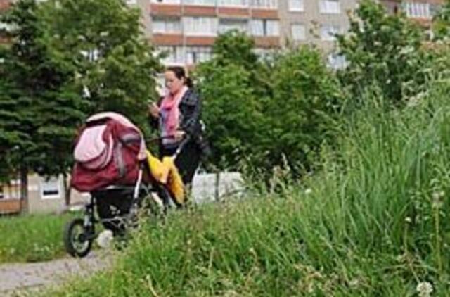 Džiunglių gyventojai klerkams neįdomūs