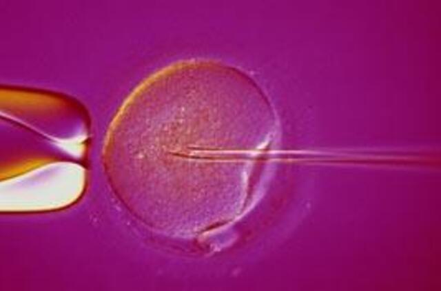 A. Čaplikas ragina Vyriausybę apsispręsti dėl dirbtinio apvaisinimo