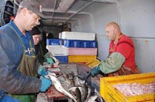 Miesto centre pakvips šviežia žuvimi