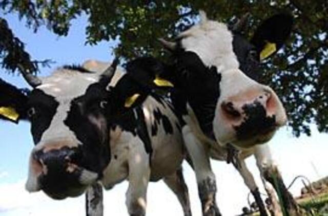 Vabalų kaimui laimę neša žalčiai