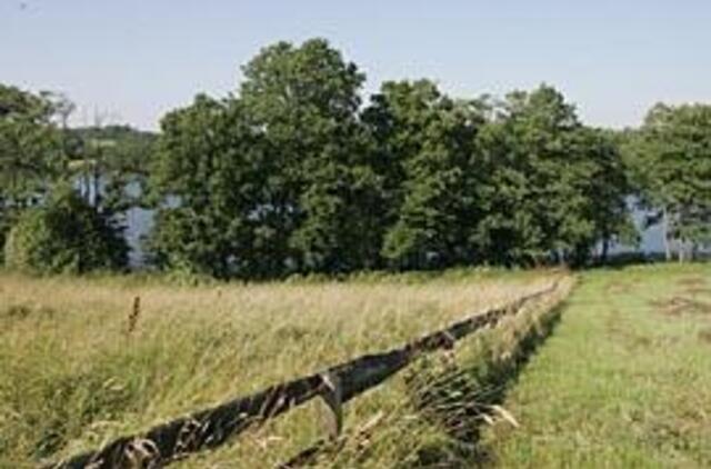 Užsieniečiai paveldėtą žemę privalo parduoti