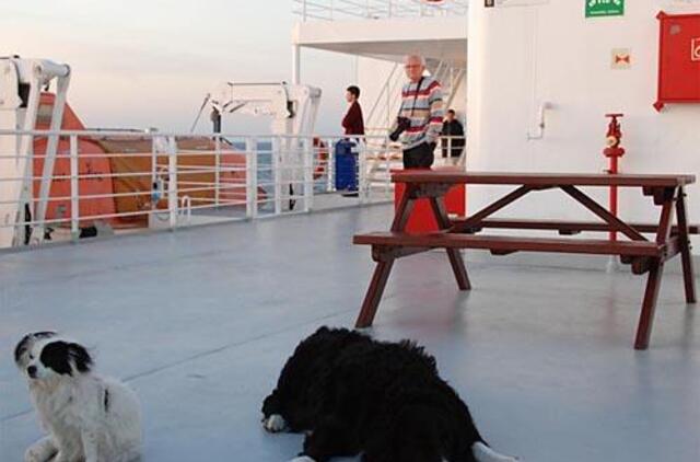 Keleiviai keltuose - tik sviestas ant sumuštinio