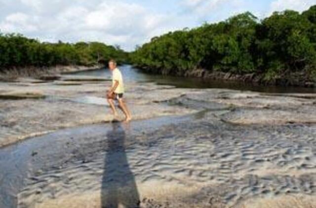 "Ragainė II" - prie Australijos