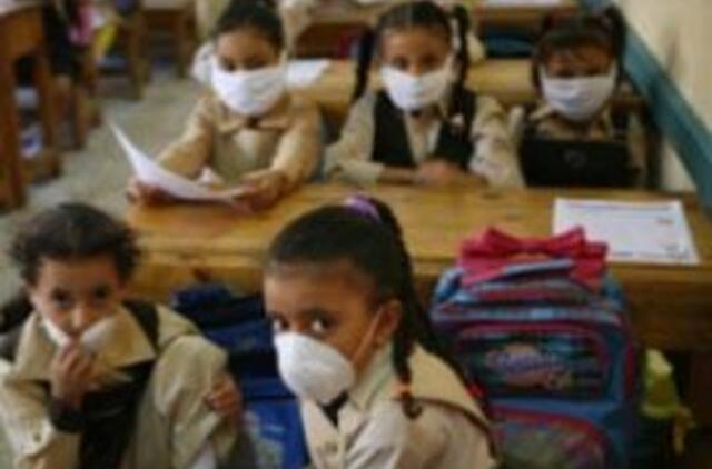 Kiaulių gripas jau nusinešė daugiau kaip 4 tūkst. 100 gyvybių