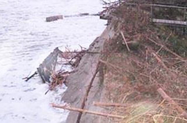 Mokslininkų išvada - prieš vėją nepapūsi