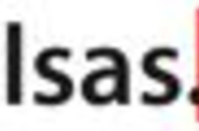 Pentagonas kuria kibernetinius vabalus