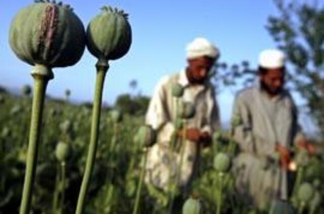 JT: Afganistane gaminamas opiumas kelia "pasaulinį chaosą"