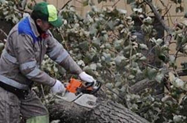 Vėjas "išpūtė" dešimtis tūkstančių litų