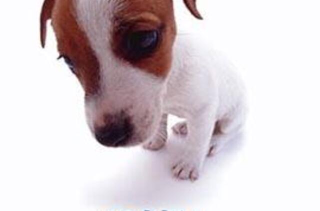 Įsižeidę klientai labiau vertina atsiprašymą nei piniginę kompensaciją