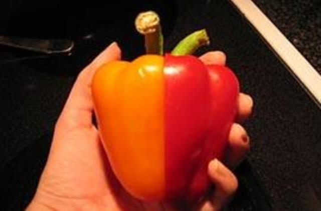 1,4 tonos genetiškai modifikuotų maisto produktų grąžinta perženklinti