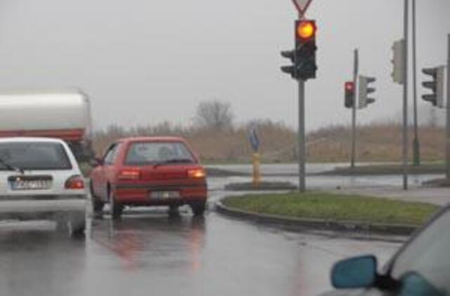 Žalia rodyklė dingo be žinios