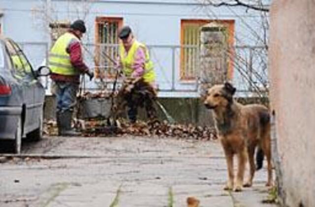 Tvarkantys miestą užsidirba ne tik kruopoms