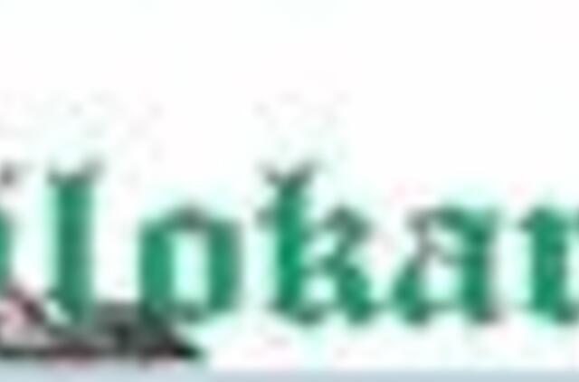 Pamaryje inventorizuojami žiemojantys vandens paukščiai