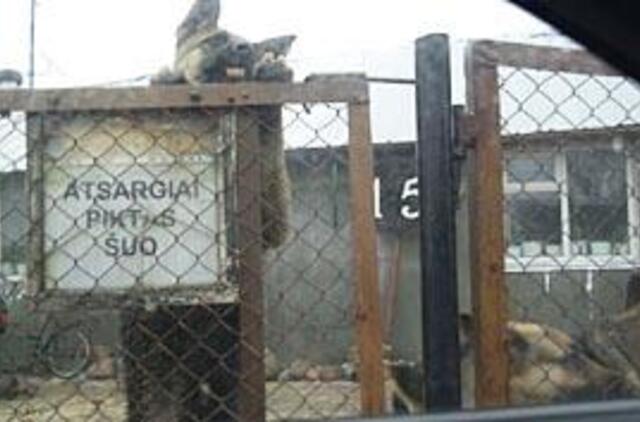 Naujakuriai ir senbuviai gyvenimą kaime mato skirtingai