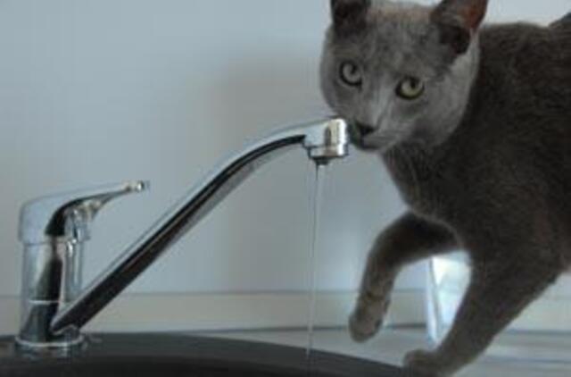 Už karštą vandenį nenori mokėti brangiau