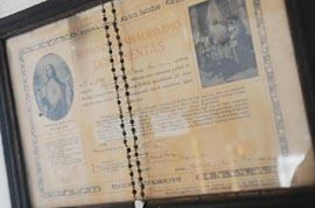 Barstyčiai: gyvenimas po klevu