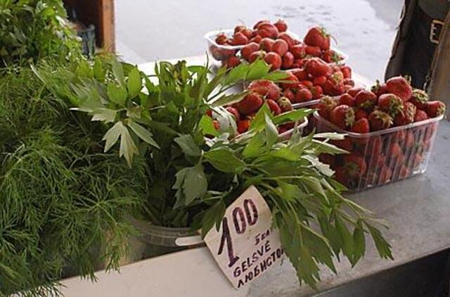 Lietuvoje krapai neauga? 