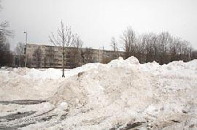 Sniegas klaipėdiečiams per brangus 