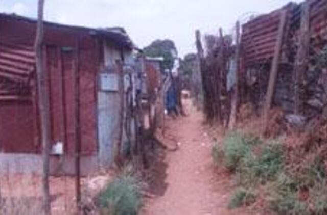 Afrika: didmiesčio džiunglėse