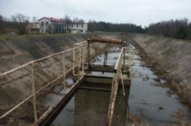 Kopgalio oazei - žalia šviesa