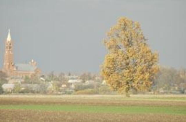 Žemės kainų vidurkis Vakarų Lietuvoje pernai krito 13-16 proc.