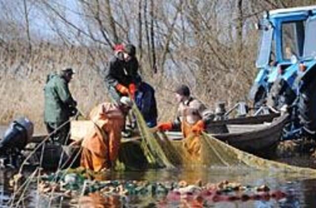 Vandens paukščiai žmonių veidais