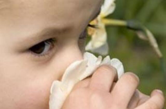 Civilizacijos liga - alergija