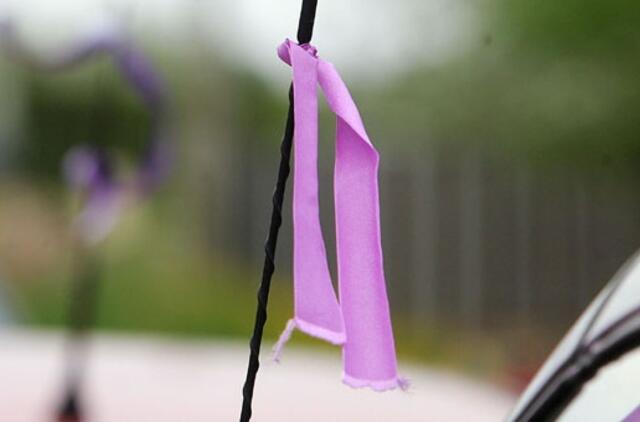 D. Grybauskaitė: teismų sprendimus reikia vykdyti (papildyta)