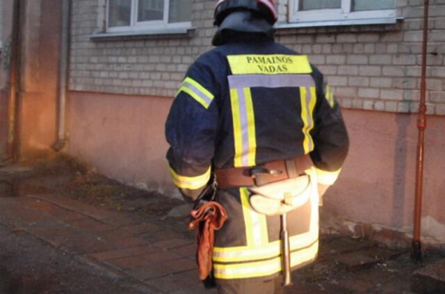 Ignalinoje pareigūnams įkliuvo automobilį vairavęs neblaivus ugniagesys