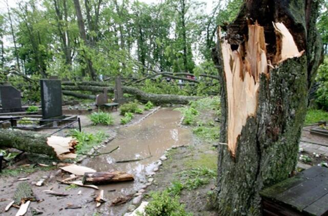Praūžusi audra vartė medžius ir nuplėšė dalį stogo