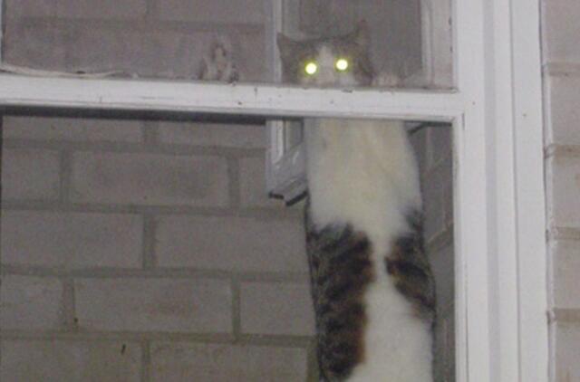 Socialiniuose būstuose tiksi “laikrodukai”